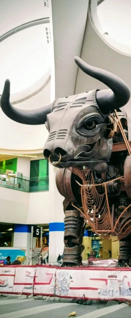 pexels-umike-34054085-scaled-e1761320448367-421x1024 Market Research Agency Birmingham | B2C & B2B | Brandspeak